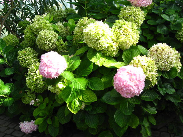 16 wrzenia 2009