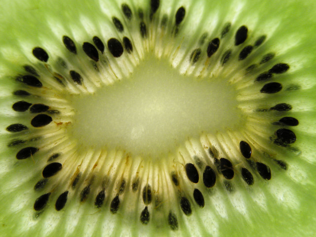 Kiwi