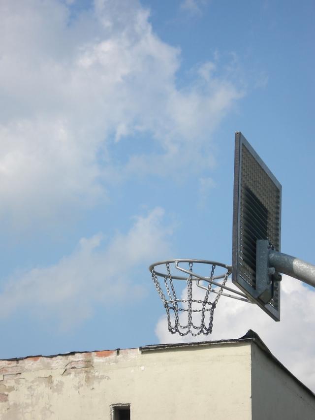 Wpis samosiej