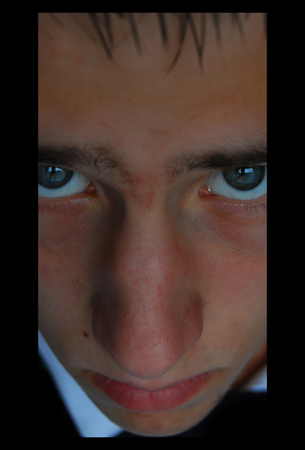 lisek