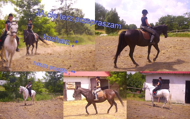 Wpis dozus232