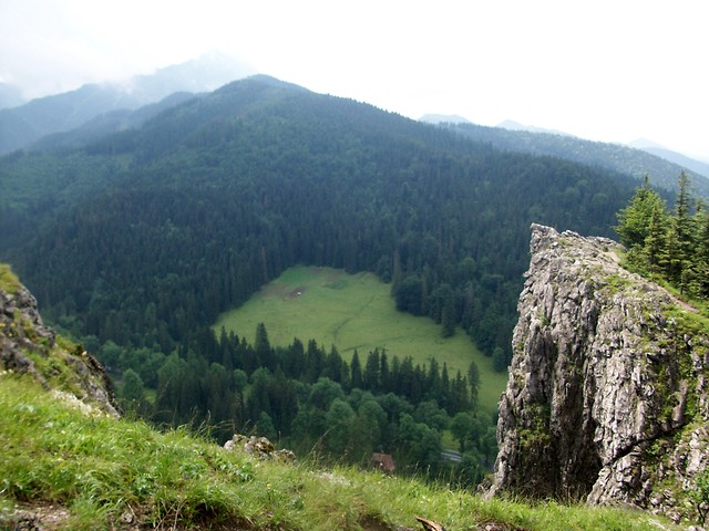 Wpis najskrytszemarzenia