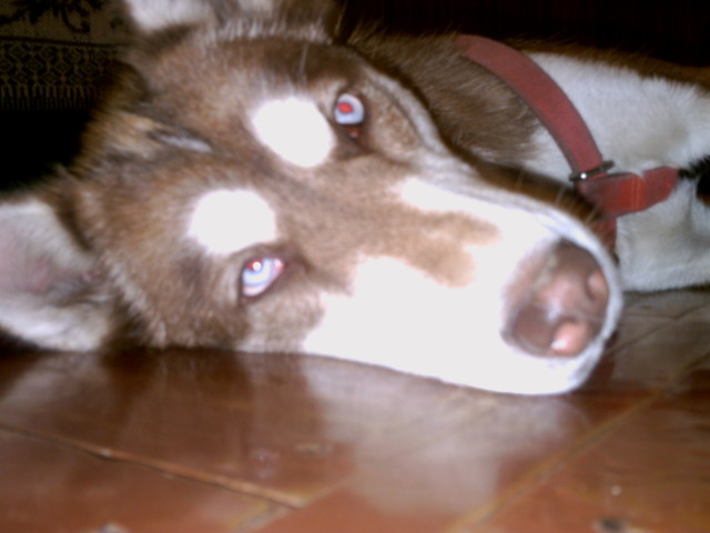 MaLesTwO mOoJe^^ !.