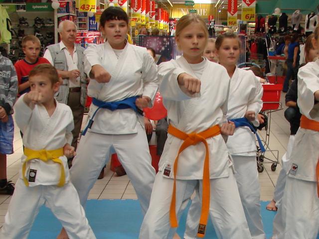 Pokazy karate w Realu