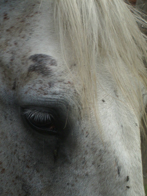 Romeo.
