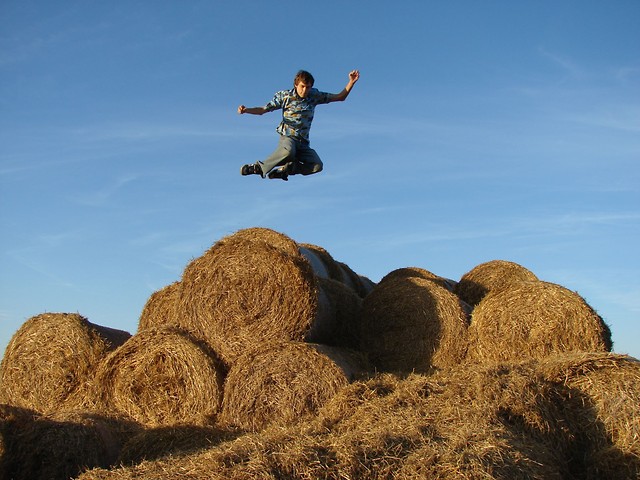 Fly...