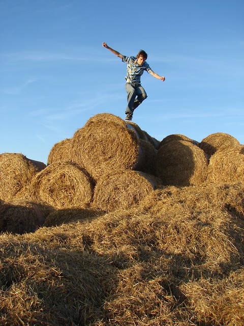 Fly...2