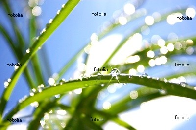Wpis fotolia