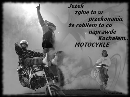Wpis gize