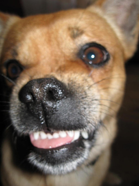 :p