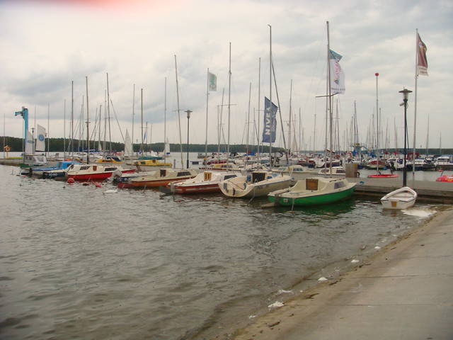 Wpis przedsiebiewdal