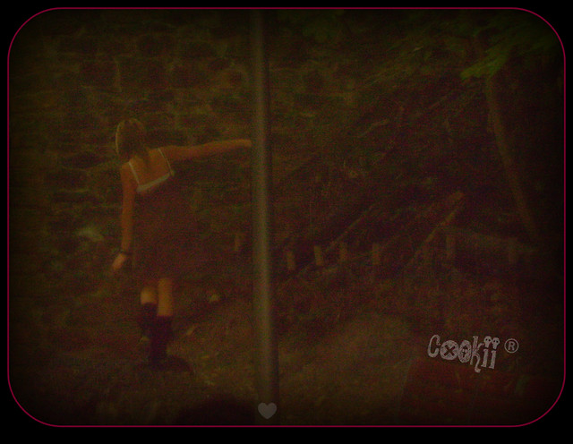 Wpis c00kii