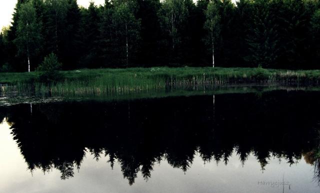 .narkolepsja.