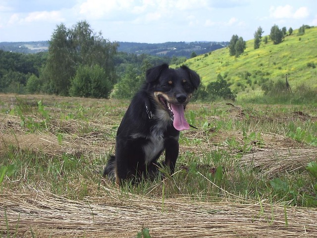 'laaaaatoooo' po czkach.. 