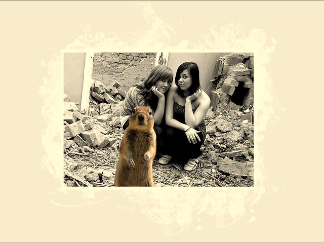 _ wiastak xd