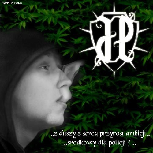 Wpis dawid509