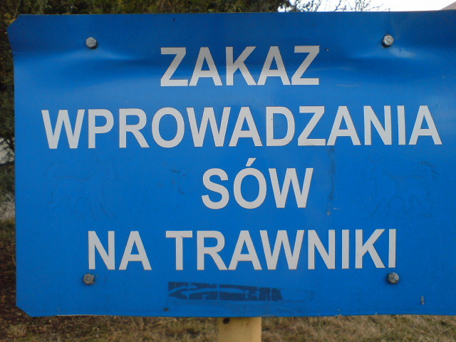 Wpis zozikuniverse