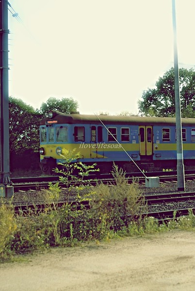 Wpis ajlovjuxd