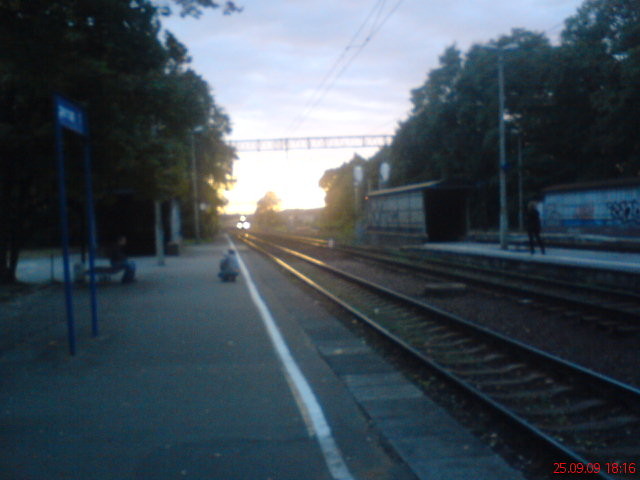 Wpis strusiek