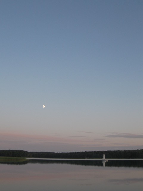 Wpis effinka