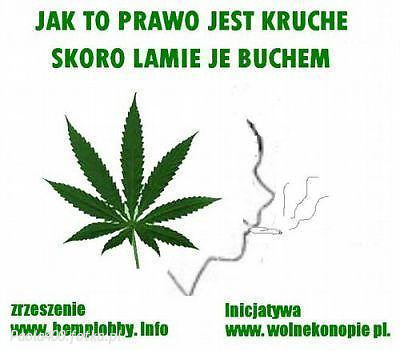 Wpis mannowdev