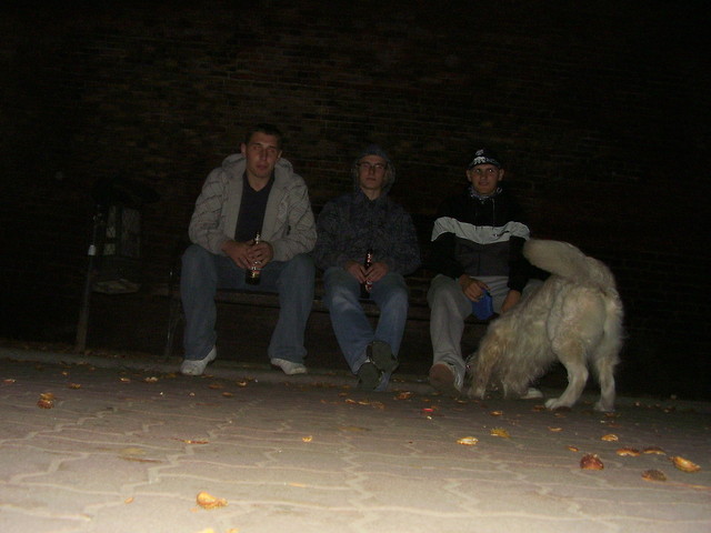 Wpis trzcina