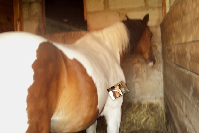 Karinu:*