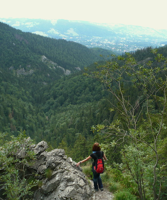 Dowidzenia