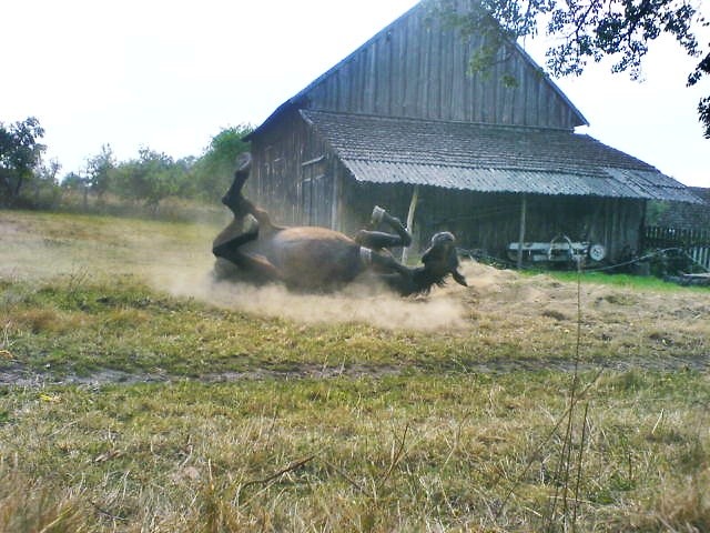 Blankowy ;D