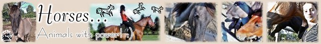 Horses ; !!!!! . 