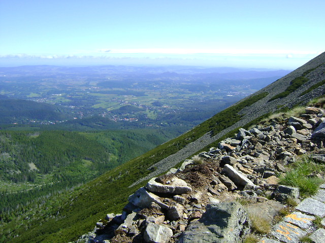 widoczek