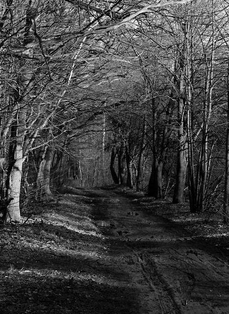 Road to Nowhere..