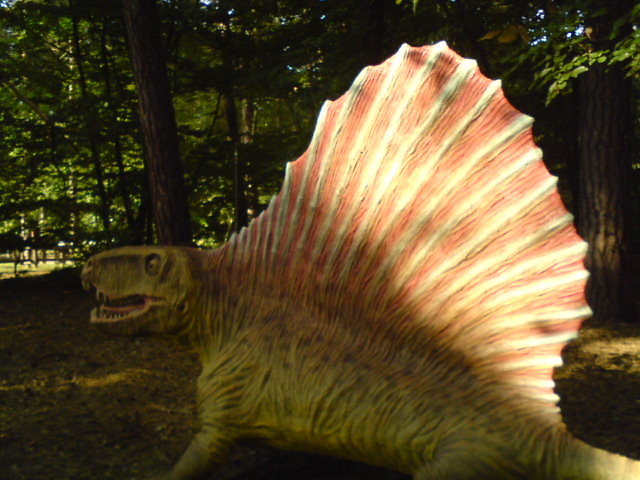 Dimetrodon