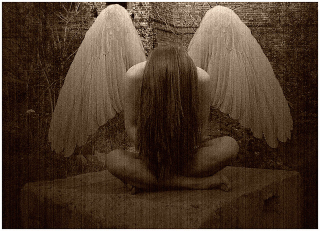...upady Anio...