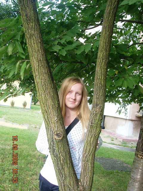 Wpis szablaa580