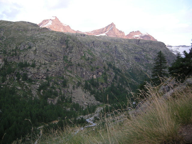 Alpy