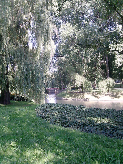 Bajka