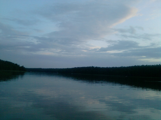 Niewiedza