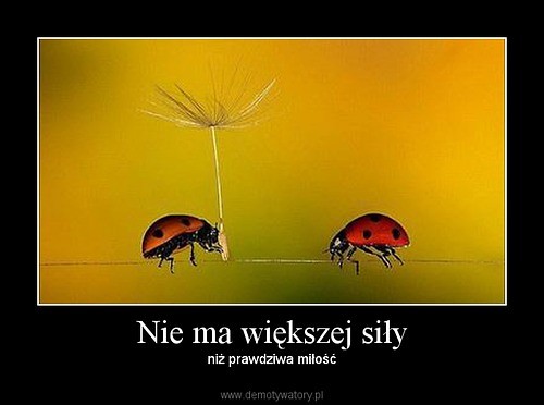 Wpis nienazywasie