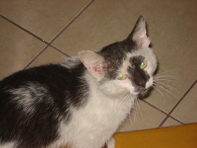 Wpis karol95rst