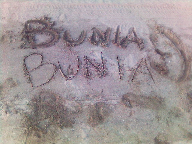 Bunia;p