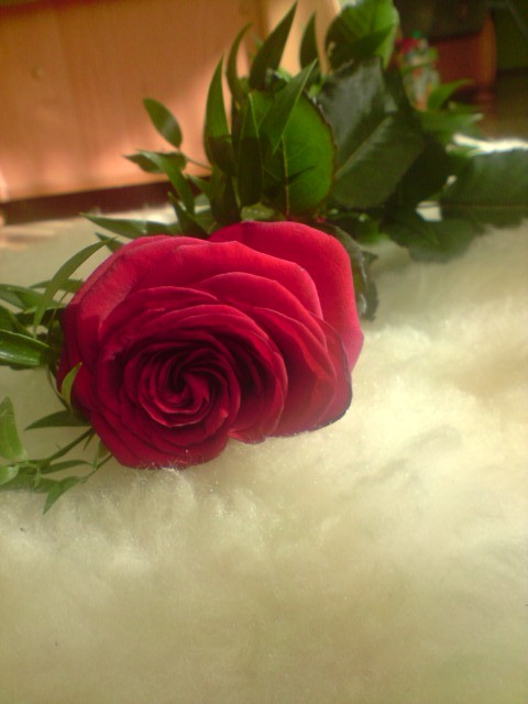 sweet.