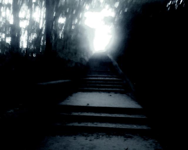 Searching a light!