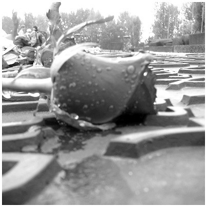 ryczka.