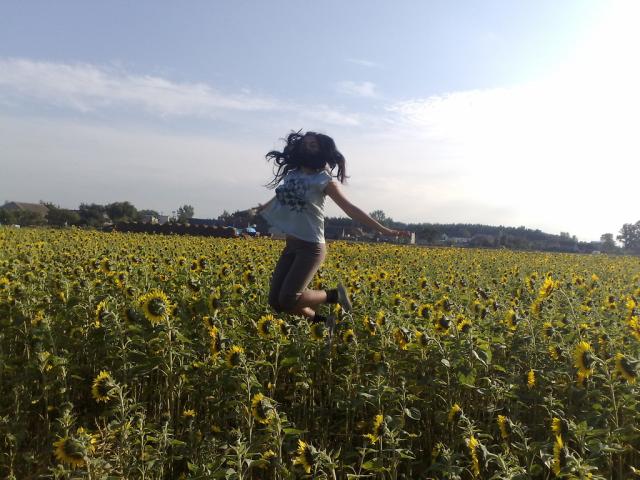 Wpis niemaanazwy