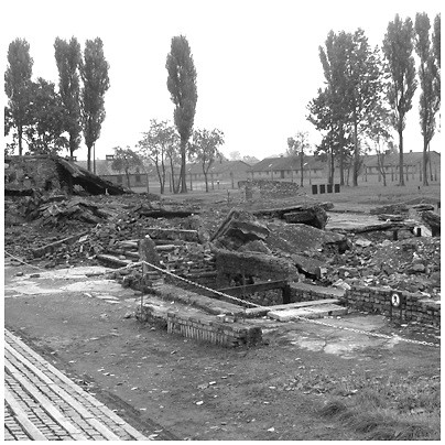 Auschwitz.