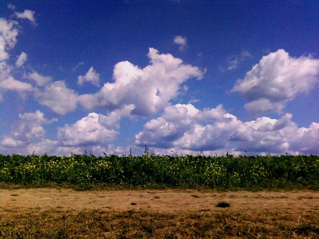 skyyyyy