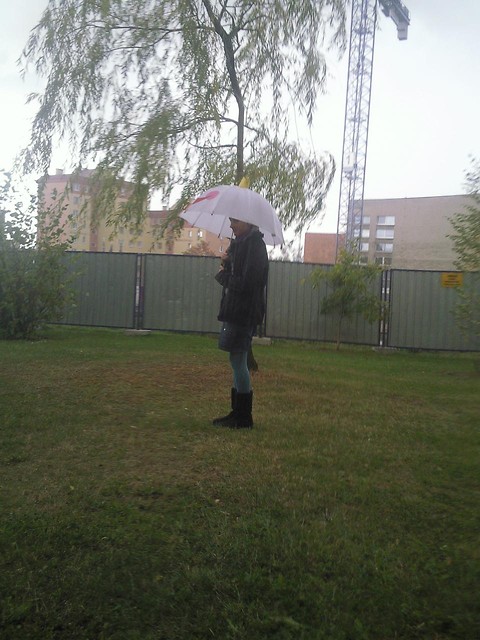 Wpis contenta