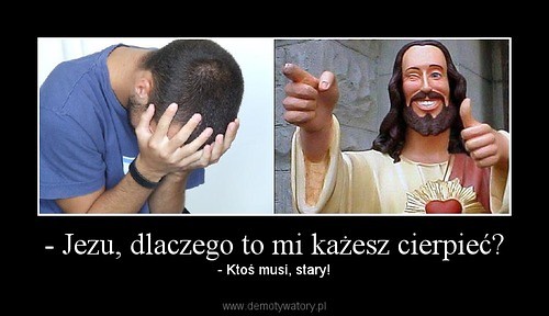 Wpis drzizys
