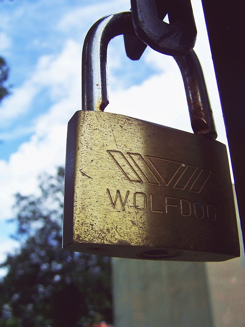 Wpis killmonkey
